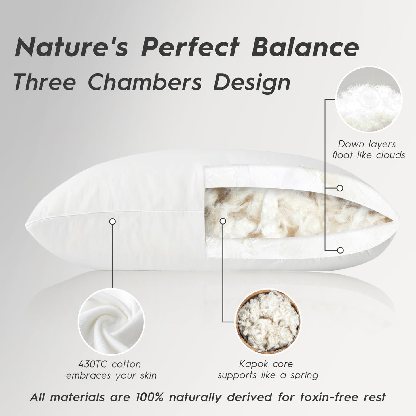 Globon Luxury Down Pillows King Size Set of 2, 100% Cotton Shell Hotel Collection Bed Pillows for Sleeping, Medium Firm Down Surrounded Feather Pillow 20" x 36"